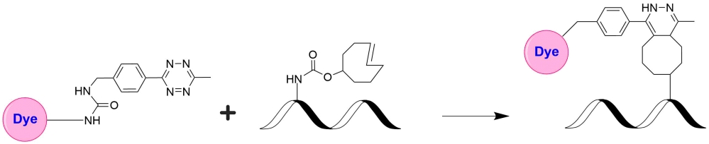 iFluor 647 Tetrazine  货号1019