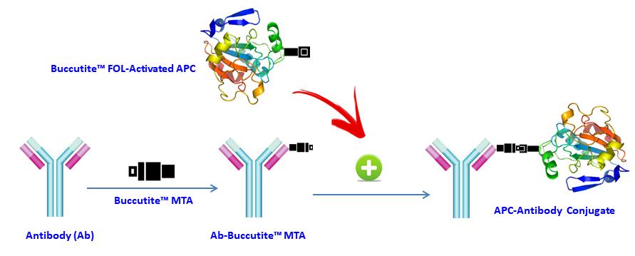 Buccutite APC-Cy5.5抗体标记试剂盒 标记100ug抗体 货号1320
