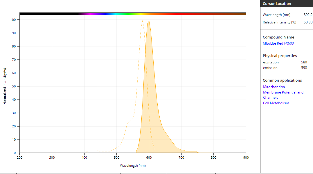 线粒体标记试剂盒  红色荧光 货号22668