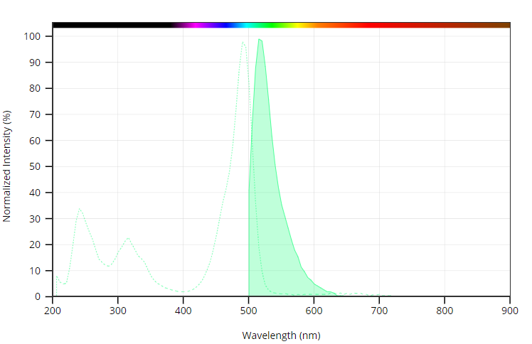 鬼笔环肽-iFluor 488标记 alexa fluor488优异替代品 货号23115