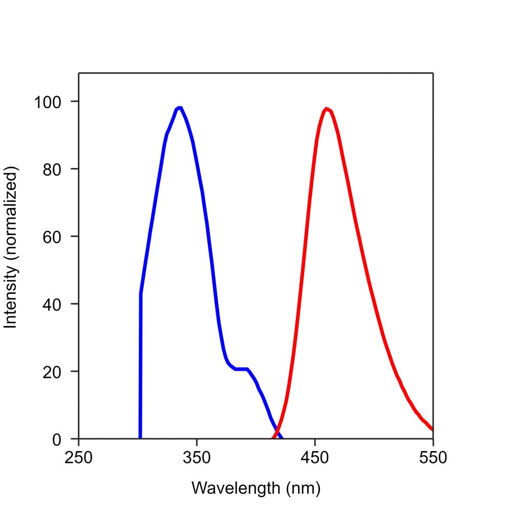 Thiolite Blue, AM硫醇化合物蓝色荧光探针  货号21506