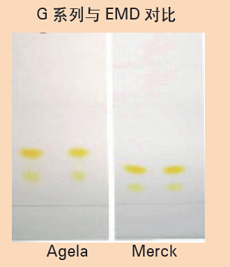 普通硅胶- 薄层硅胶分析板,博纳艾杰尔,T-CSF200200-0 10 片/ 盒