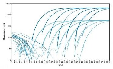 twin.tec® 荧光定量 PCR 96 孔板全裙边,艾本德/Eppendorf,(孔白色),蓝色, 25片 0030132505