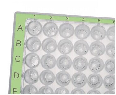 96孔/500µL 洁净级深孔板,艾本德/Eppendorf,孔透明, 蓝色边框40块 0030501144