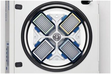 384孔/200 µL洁净级深孔板,艾本德/Eppendorf,孔透明, 白色边框120 块 0030525108