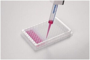384 孔/V 型底微孔板,艾本德/Eppendorf,孔透明, 无菌级, 边框白色, 80 块 0030622308