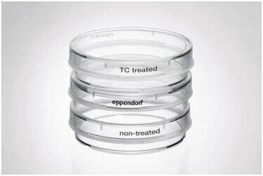 细胞培养皿，35mm,艾本德/Eppendorf,TC 处理, 无菌, 无细胞毒性, 300个 0030700112