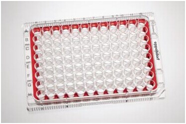 细胞培养板，6孔,艾本德/Eppendorf,TC处理, 60块 0030720113