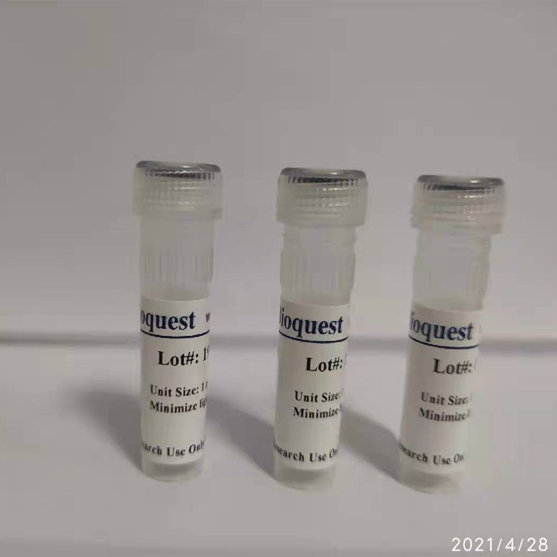 Amplite 荧光法L-天门冬氨酸天冬氨酸检测试剂盒 货号13827