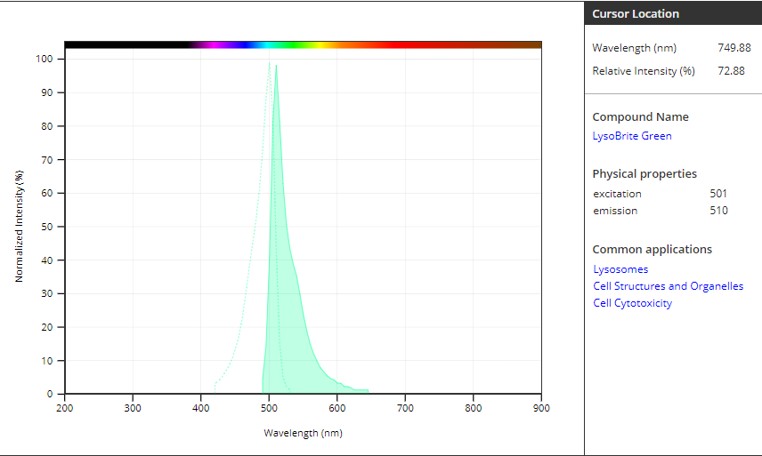 溶酶体绿色荧光探针 现货 货号22643