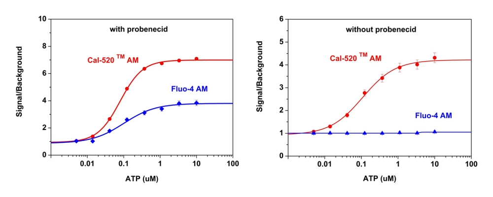 钙离子荧光探针Cal-520, 钾盐 货号21140