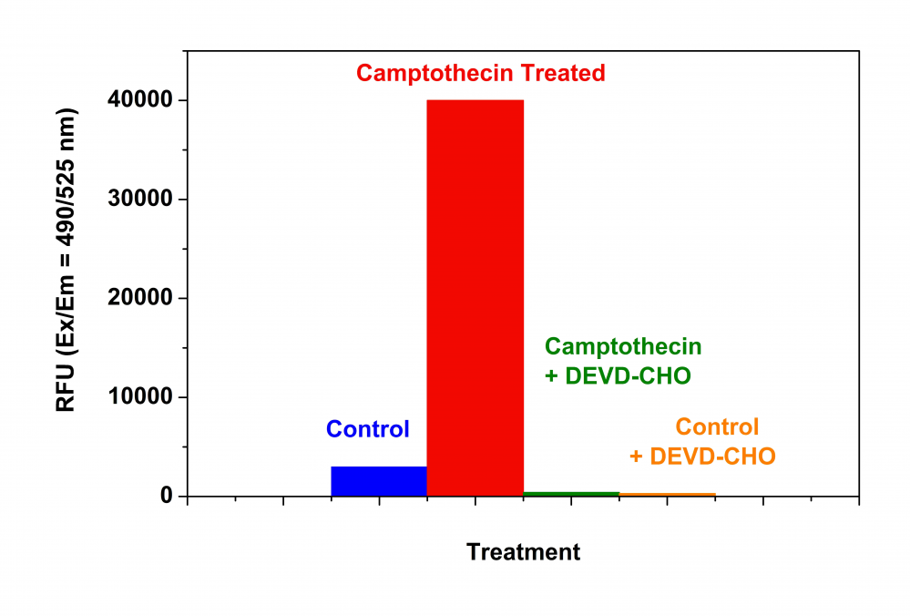 Amplite 荧光法Caspase 3/7活性检测试剂盒 绿色荧光 货号13503