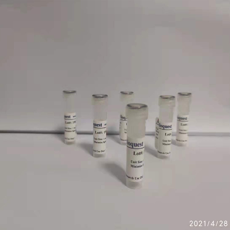 新型钙离子荧光探针Calbryte-520L AM 货号20640