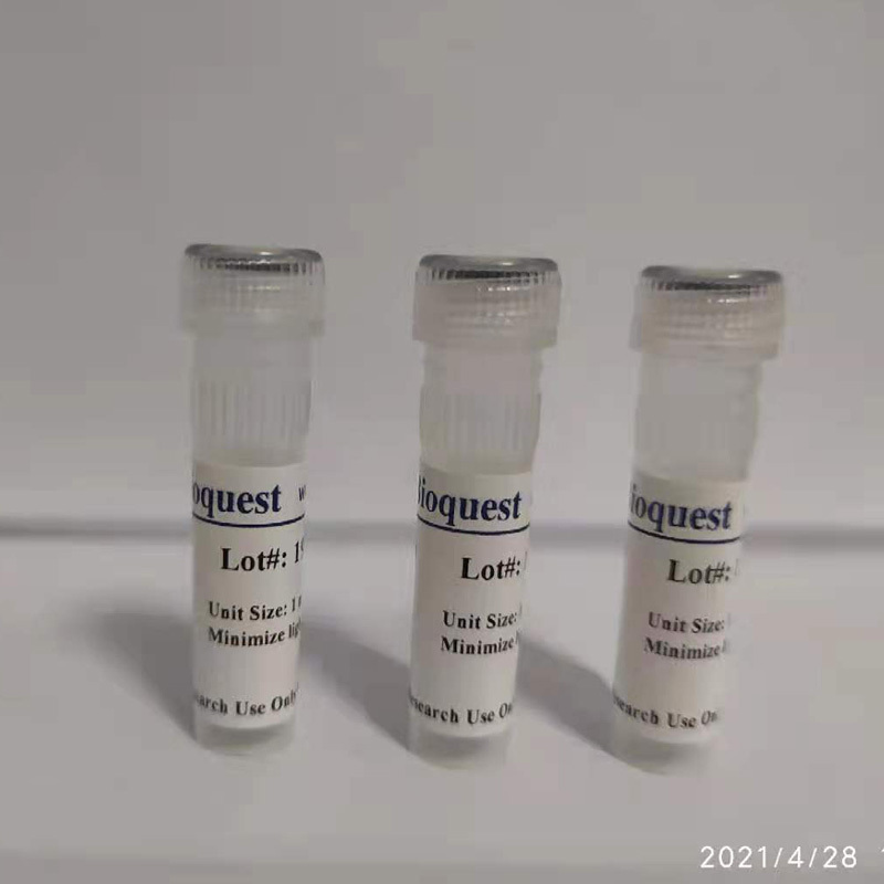 Amplite 荧光法甲醛定量试剂盒 绿色荧光 货号10057