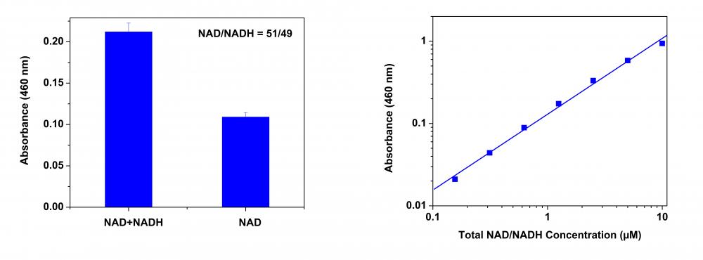 Amplite NAD NADH比率检测试剂盒比色法货号15273