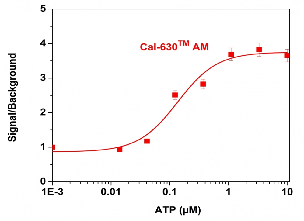 钙离子荧光探针Cal-630 AM 货号20531