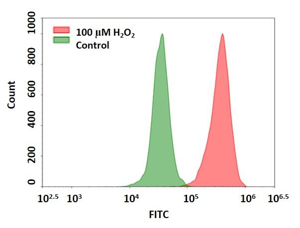 Cell Meter 细胞内荧光法过氧化氢检测试剂盒 绿色荧光适用于流式细胞仪 货号11506