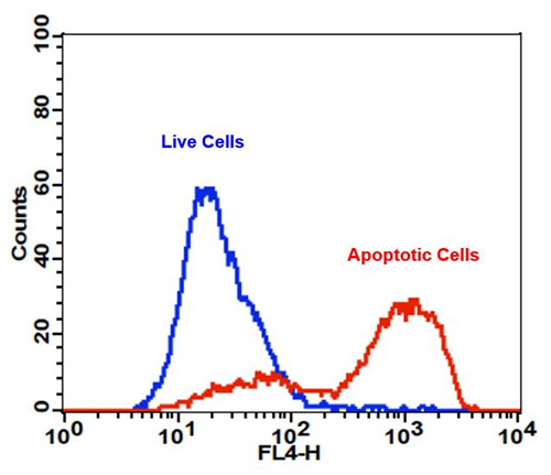APC-Annexin V细胞凋亡检测试剂盒 适合于流式细胞仪  货号22837