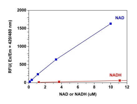 Amplite NAD检测试剂盒 荧光法蓝色荧光 货号15280