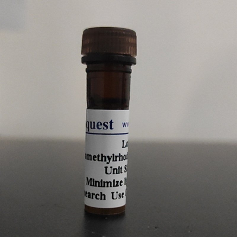 Amplite 荧光法荧光胺蛋白质定量试剂盒 蓝色荧光   货号11100
