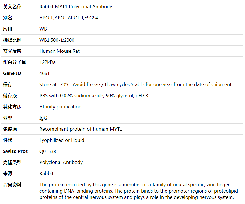 Anti-MYT1 Polyclonal Antibody,索莱宝,K002094P-100ul