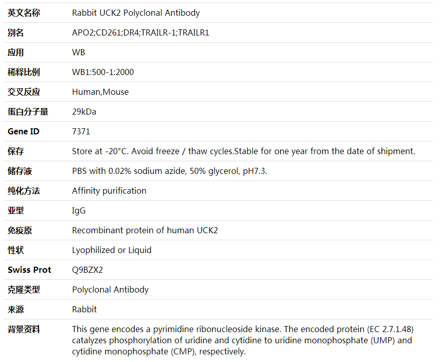 Anti-UCK2 Polyclonal Antibody,索莱宝,K002091P-50ul