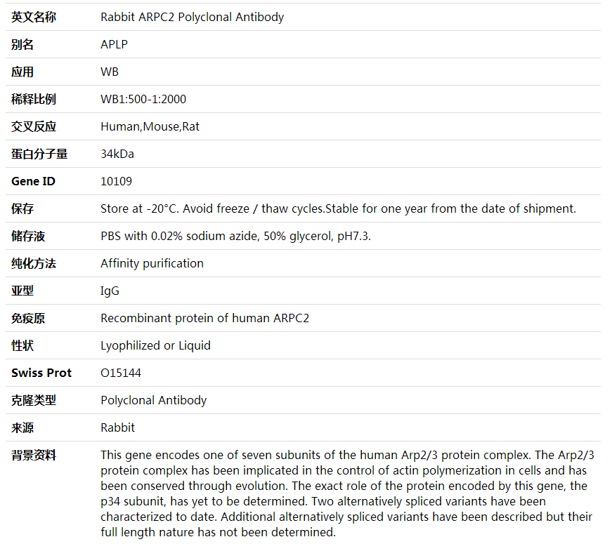 Anti-ARPC2 Polyclonal Antibody,索莱宝,K002087P-100ul