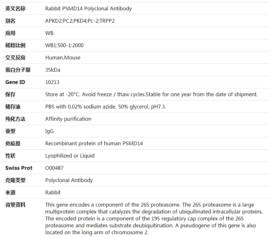 Anti-PSMD14 Polyclonal Antibody,索莱宝,K002085P-50ul