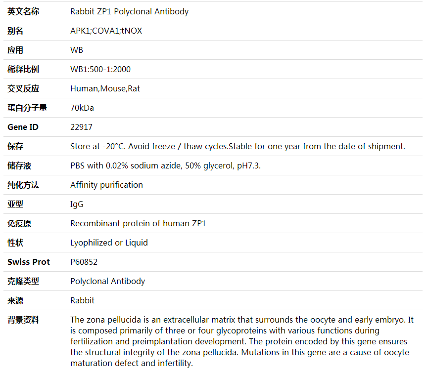 Anti-ZP1 Polyclonal Antibody,索莱宝,K002084P-100ul