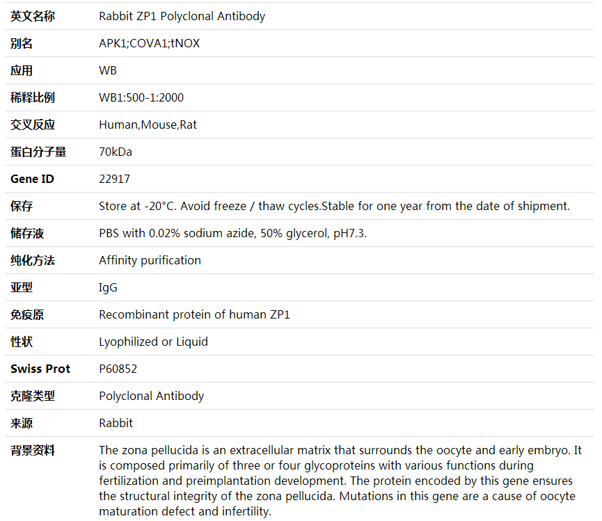 Anti-ZP1 Polyclonal Antibody,索莱宝,K002084P-50ul