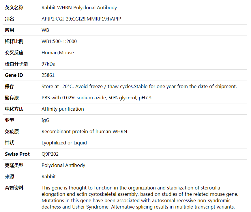 Anti-WHRN Polyclonal Antibody,索莱宝,K002083P-100ul