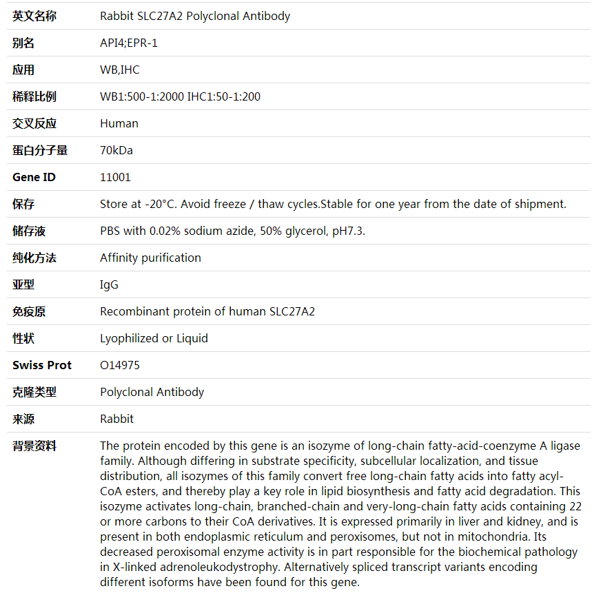 Anti-SLC27A2 Polyclonal Antibody,索莱宝,K002082P-30ul