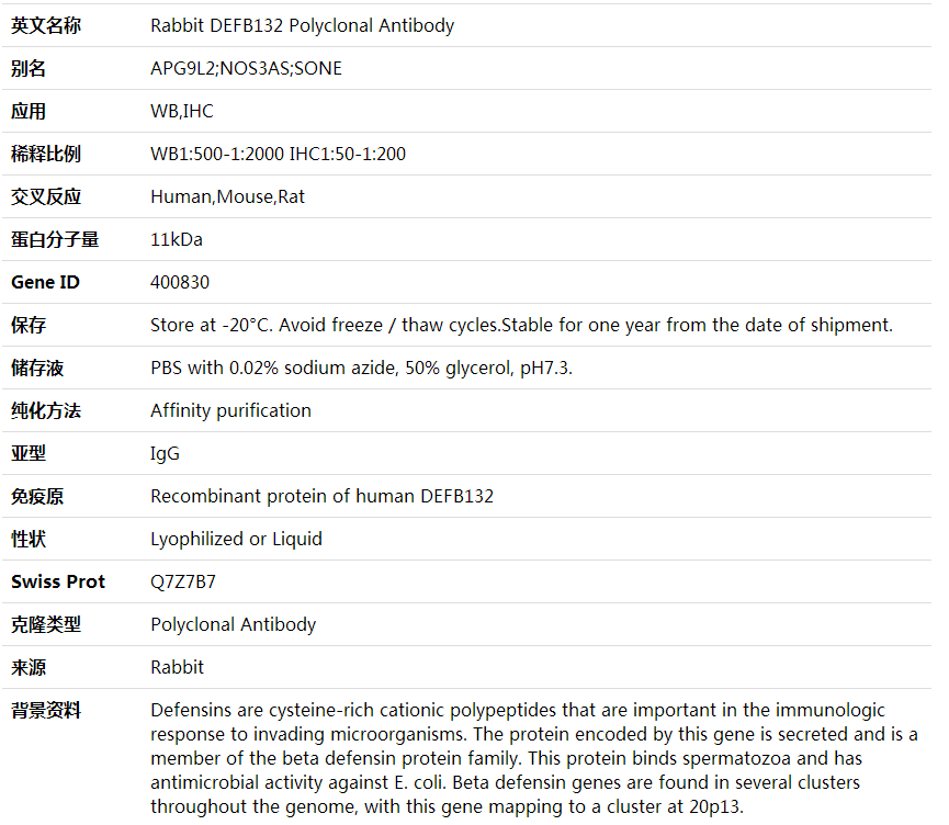 Anti-DEFB132 Polyclonal Antibody,索莱宝,K002079P-30ul