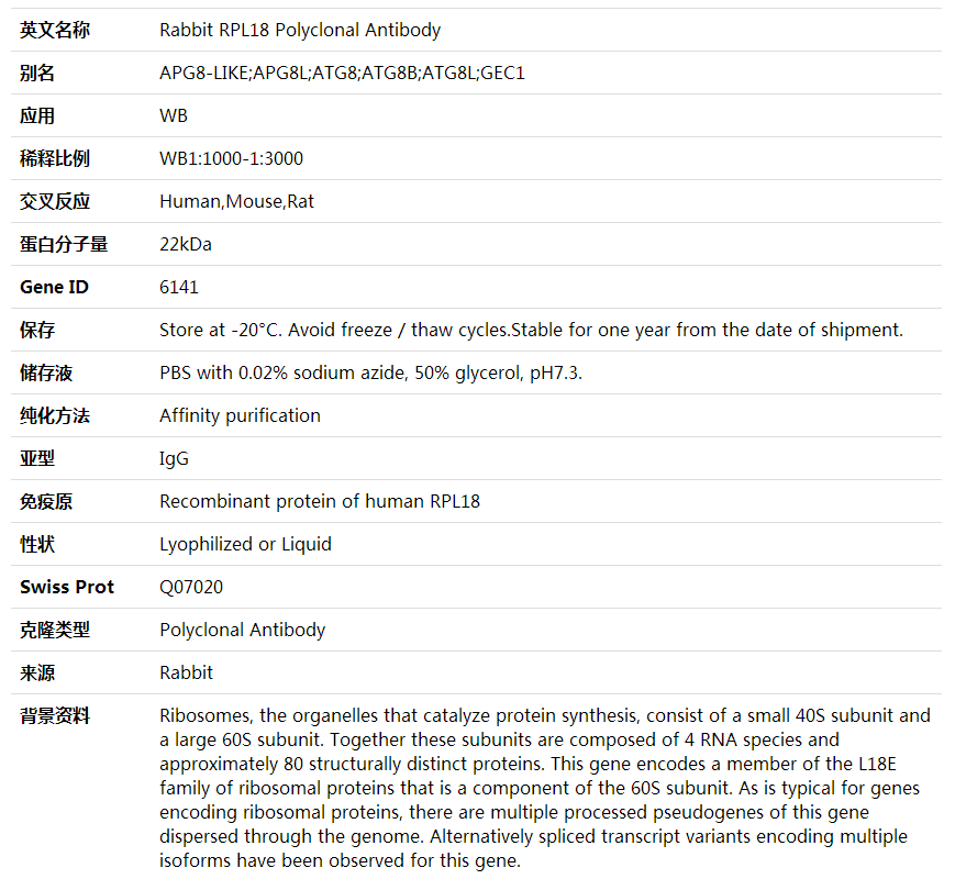 Anti-RPL18 Polyclonal Antibody,索莱宝,K002077P-100ul