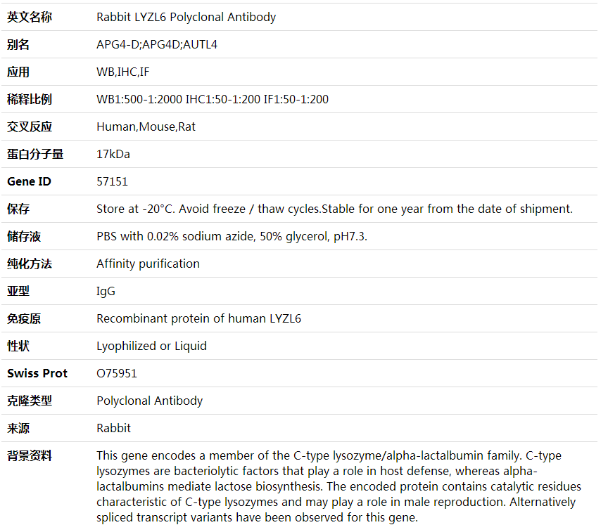Anti-LYZL6 Polyclonal Antibody,索莱宝,K002072P-30ul