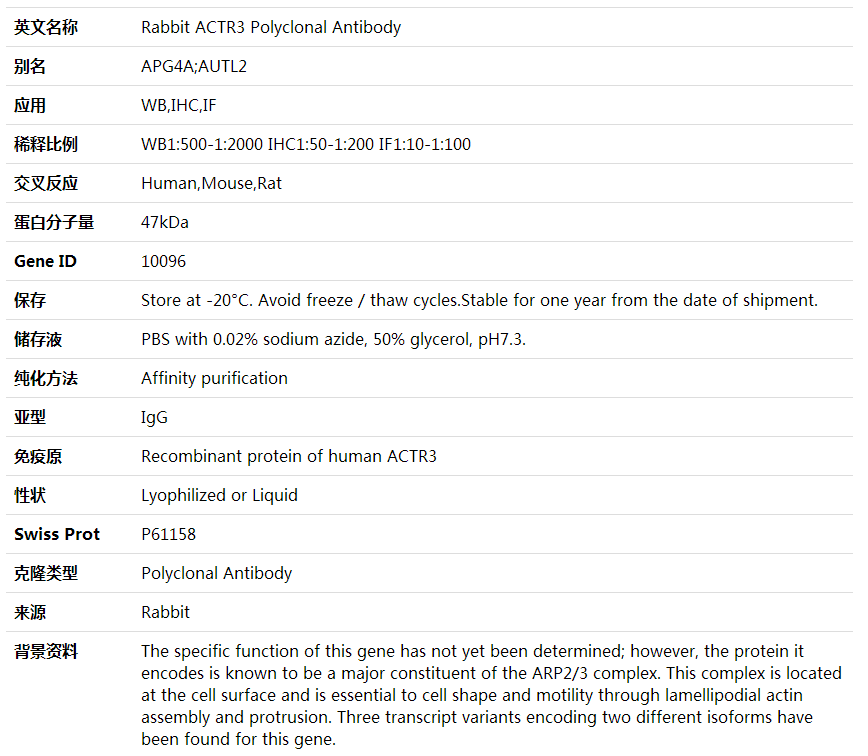 Anti-ACTR3 Polyclonal Antibody,索莱宝,K002069P-100ul