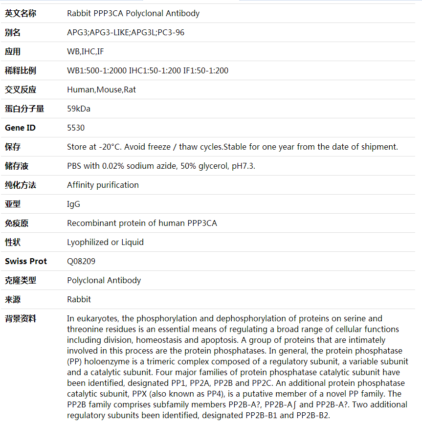 Anti-PPP3CA Polyclonal Antibody,索莱宝,K002068P-100ul