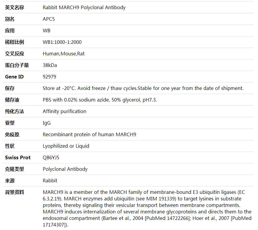 Anti-MARCH9 Polyclonal Antibody,索莱宝,K002063P-100ul