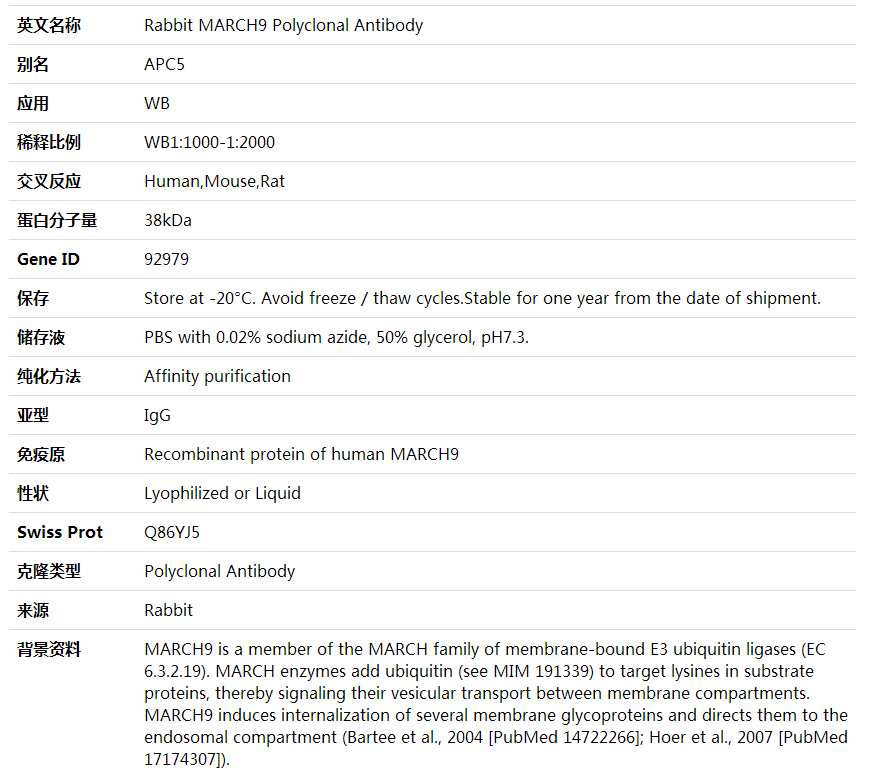 Anti-MARCH9 Polyclonal Antibody,索莱宝,K002063P-50ul