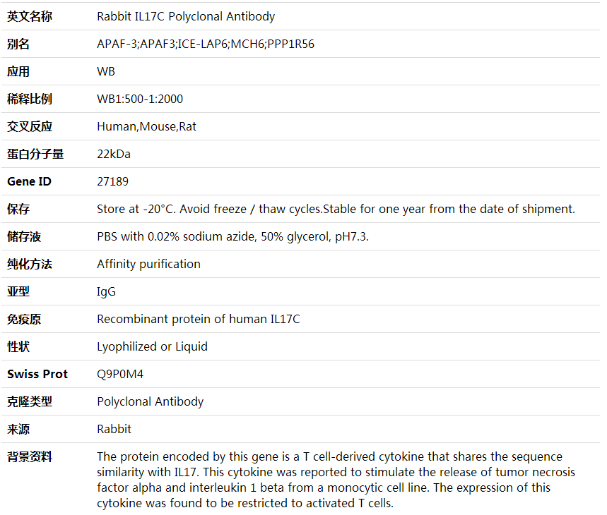 Anti-IL17C Polyclonal Antibody,索莱宝,K002058P-50ul