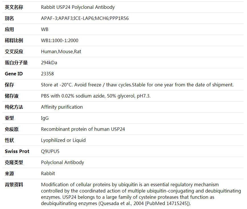 Anti-USP24 Polyclonal Antibody,索莱宝,K002056P-50ul