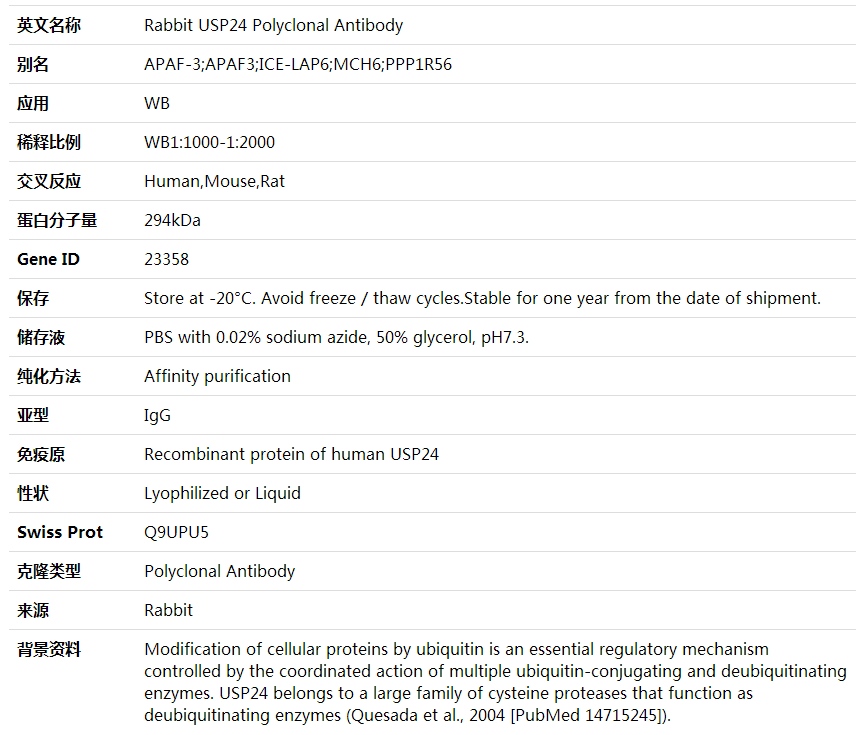 Anti-USP24 Polyclonal Antibody,索莱宝,K002056P-100ul