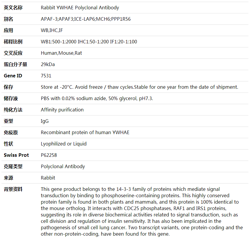 Anti-YWHAE Polyclonal Antibody,索莱宝,K002055P-50ul