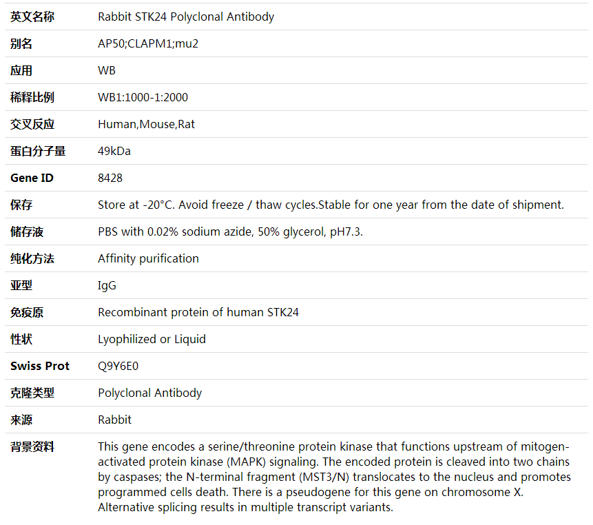 Anti-STK24 Polyclonal Antibody,索莱宝,K002053P-30ul