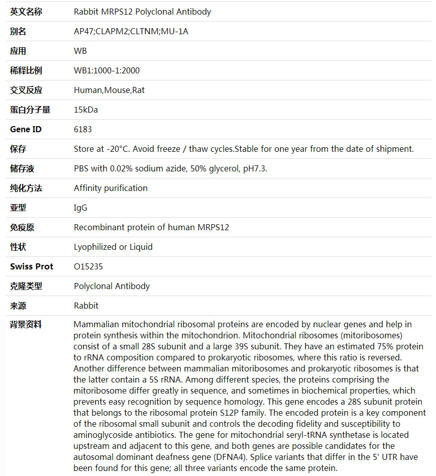 Anti-MRPS12 Polyclonal Antibody,索莱宝,K002052P-100ul