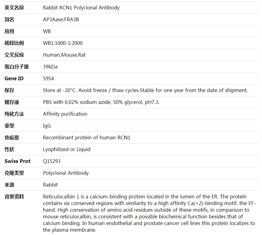 Anti-RCN1 Polyclonal Antibody,索莱宝,K002051P-30ul