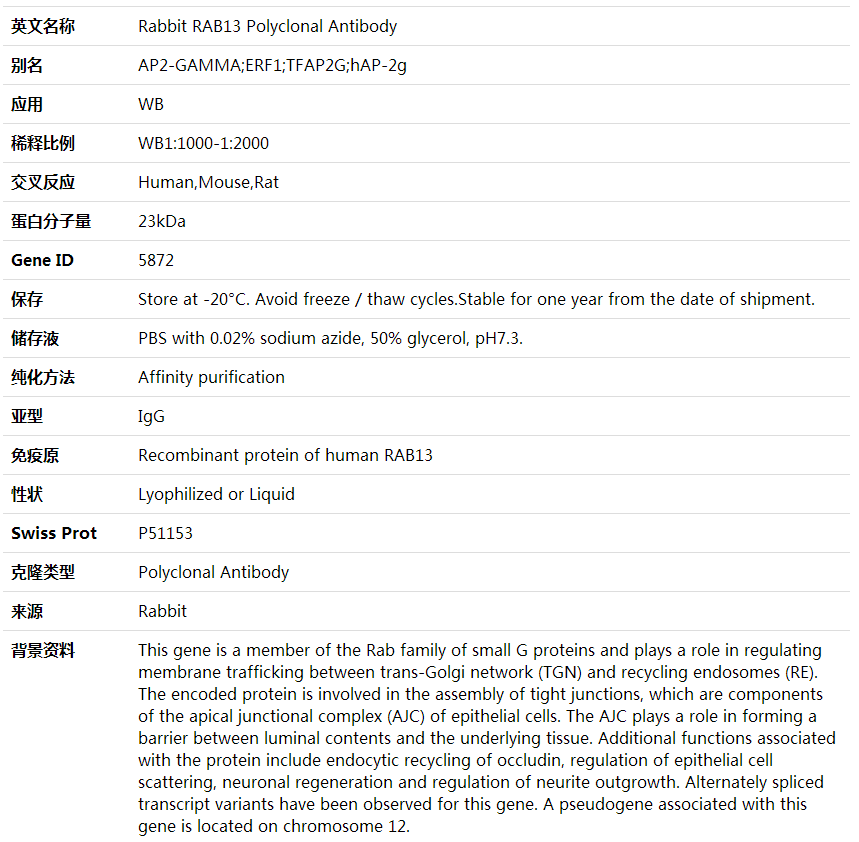 Anti-RAB13 Polyclonal Antibod,索莱宝,K002050P-100ul