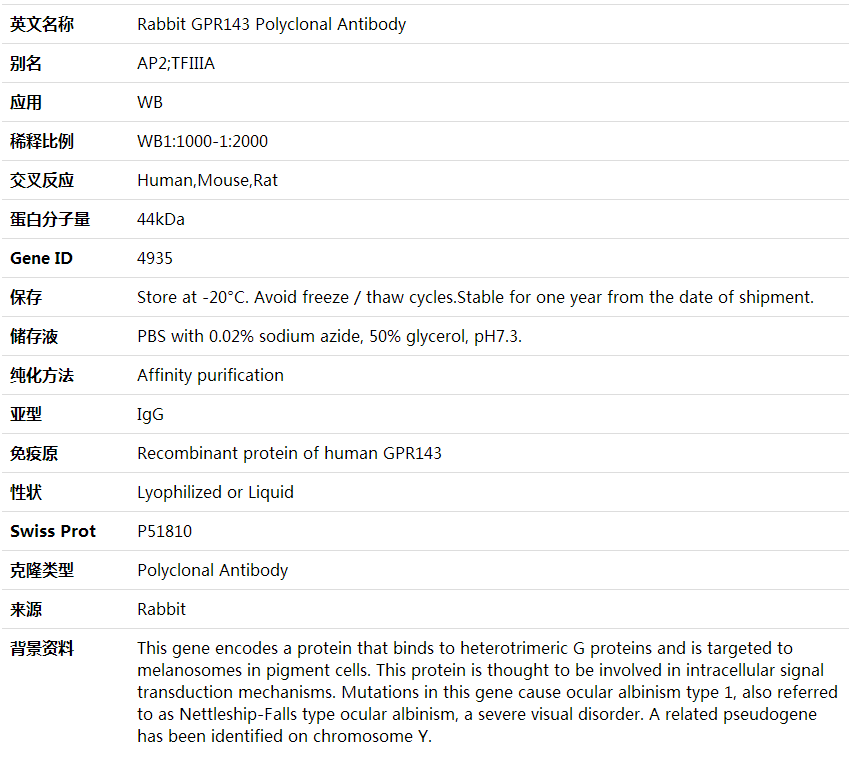 Anti-GPR143 Polyclonal Antibody,索莱宝,K002048P-100ul