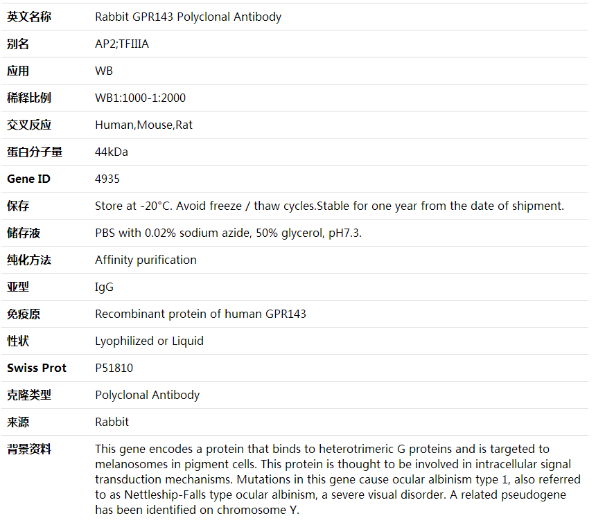 Anti-GPR143 Polyclonal Antibody,索莱宝,K002048P-30ul