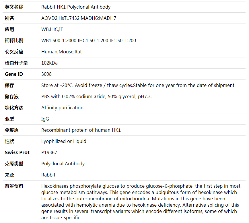Anti-HK1 Polyclonal Antibody,索莱宝,K002036P-100ul